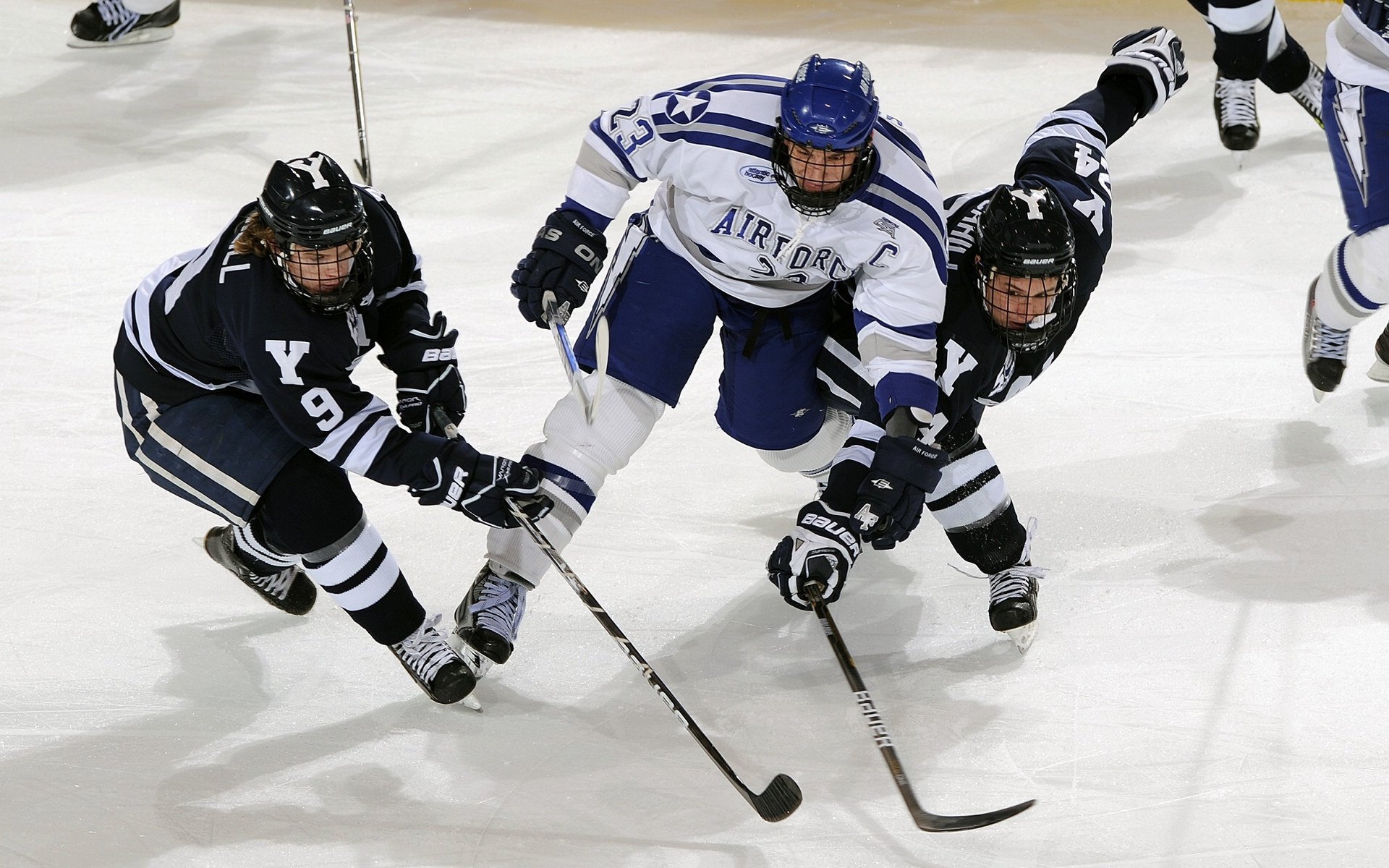 篮球职业联赛赛程安排科学合理,篮球职业联赛叫什么